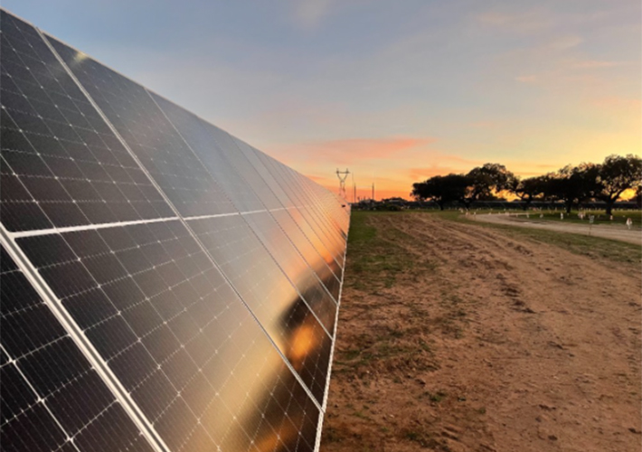 foto noticia Badajoz cuenta con nueva capacidad renovable con la puesta en marcha de cuatro plantas solares de Endesa.